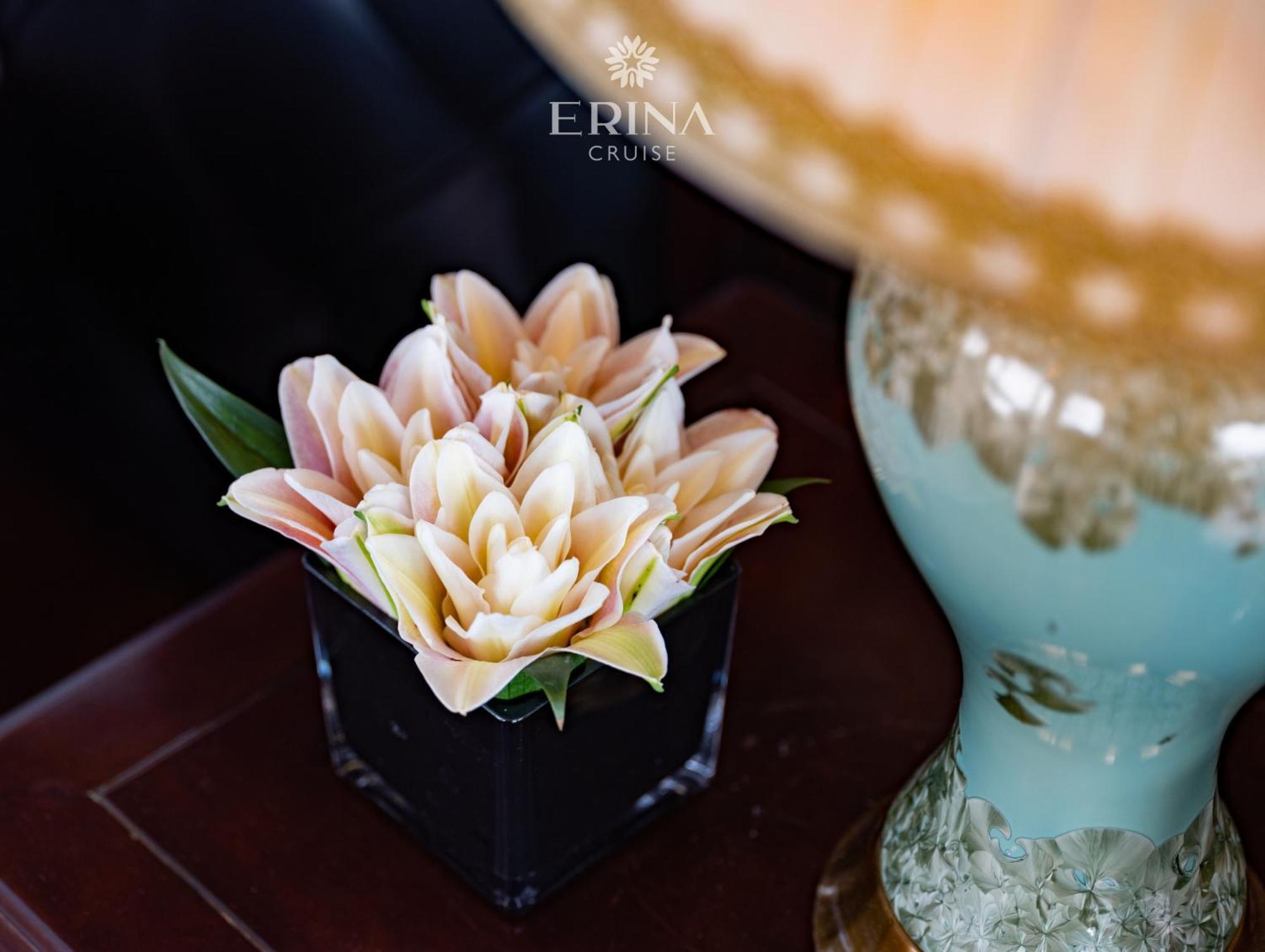 Rosa Cruise 5* Hạ Long